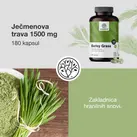 Image preview 2