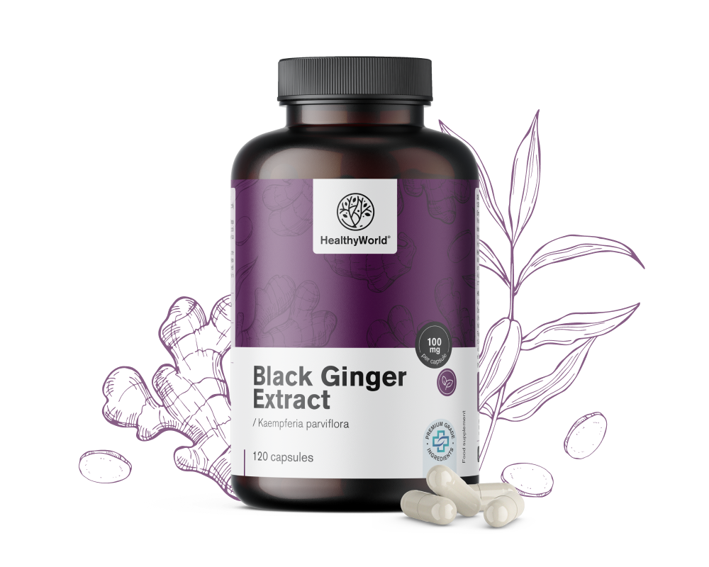 Črni ingver – izvleček