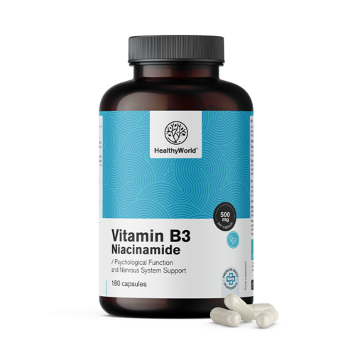 Vitamin B3 500 mg – niacinamid, 180 kapsul