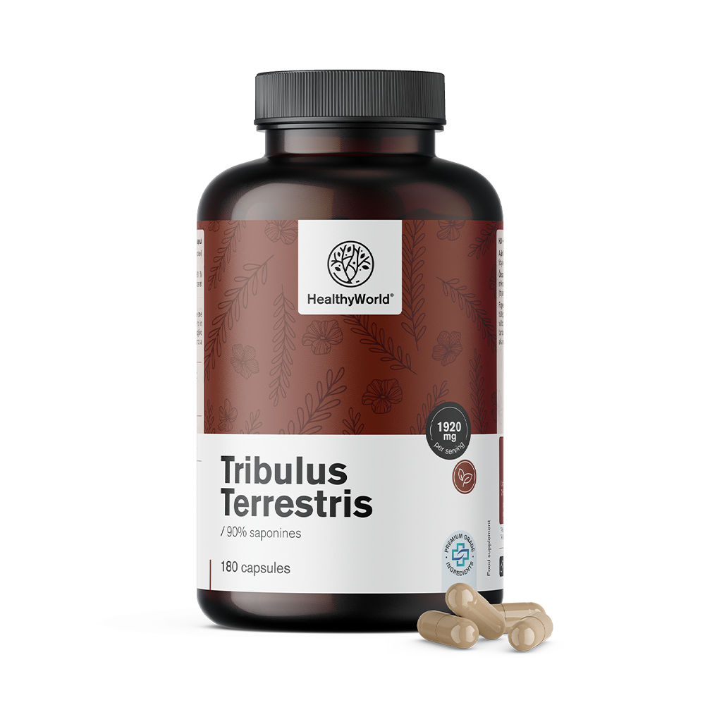 Navadna zobačica – Tribulus 1920 mg
