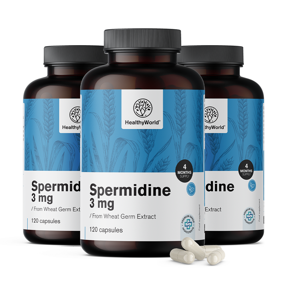 Spermidin 3 mg – iz izvlečka pšeničnih kalčkov