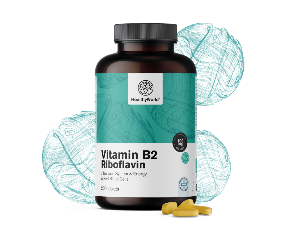Vitamin B2 – riboflavin 100&nbsp;mg