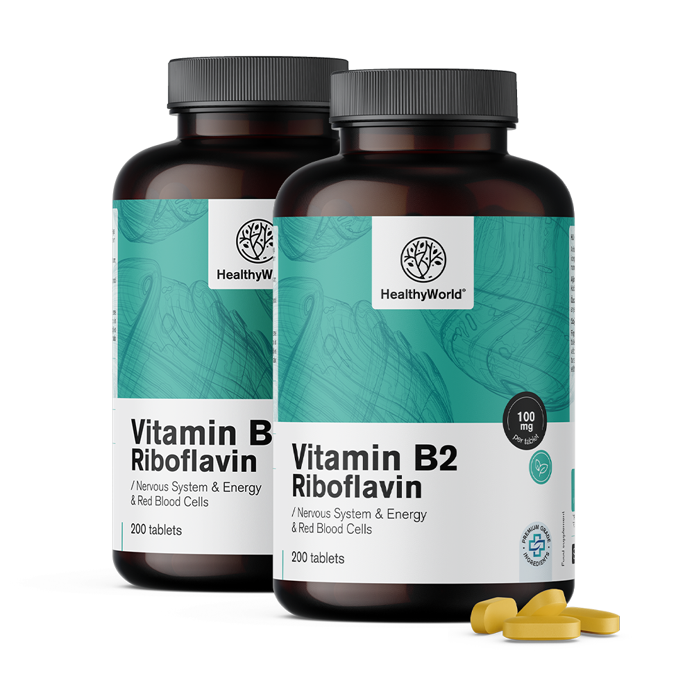 Vitamin B2 – riboflavin 100 mg