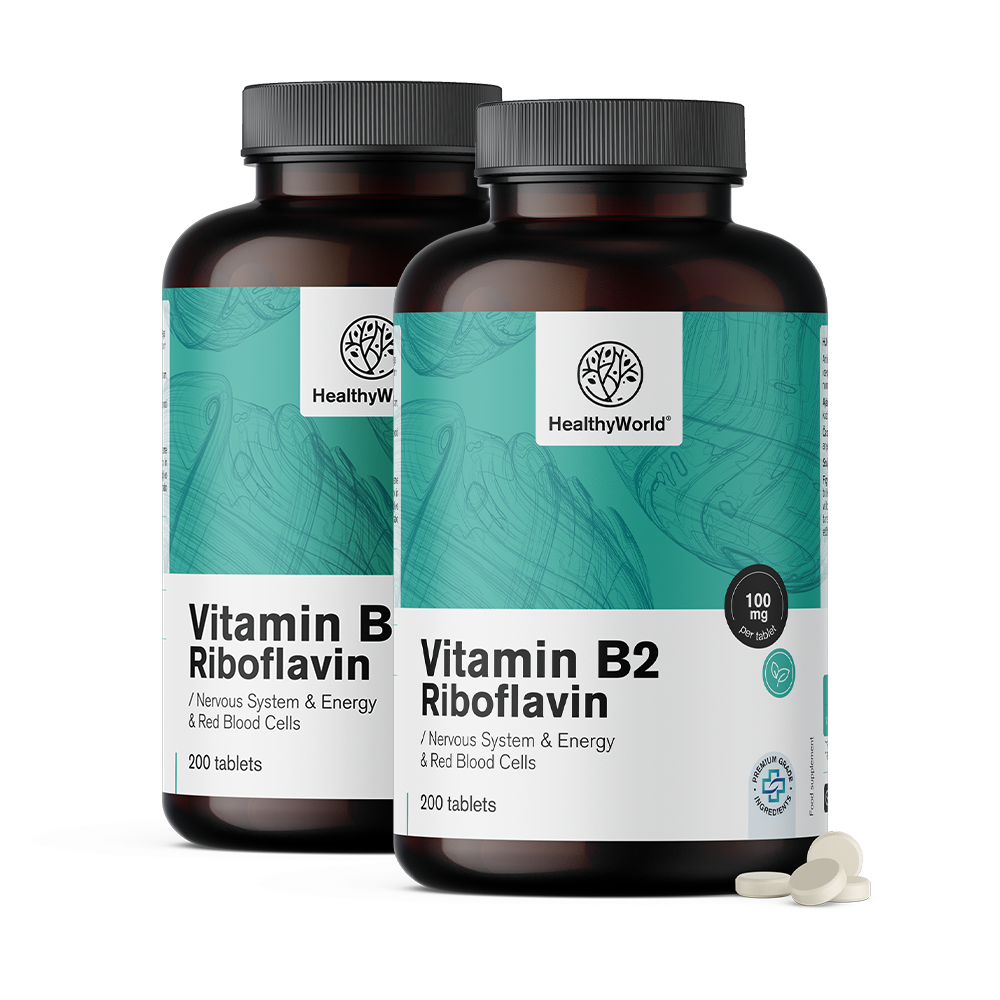 Vitamin B2 – riboflavin 100 mg