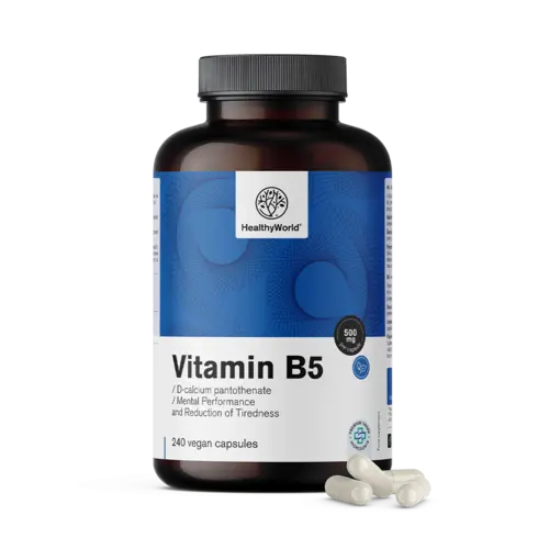 Vitamin B5 500 mg, 240 kapsul