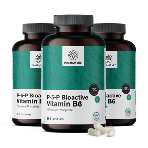 3x P-5-P – Bioaktivni vitamin B6, skupaj 1095 kapsul