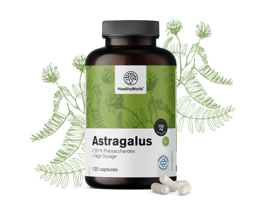 Astragalus – izvleček
