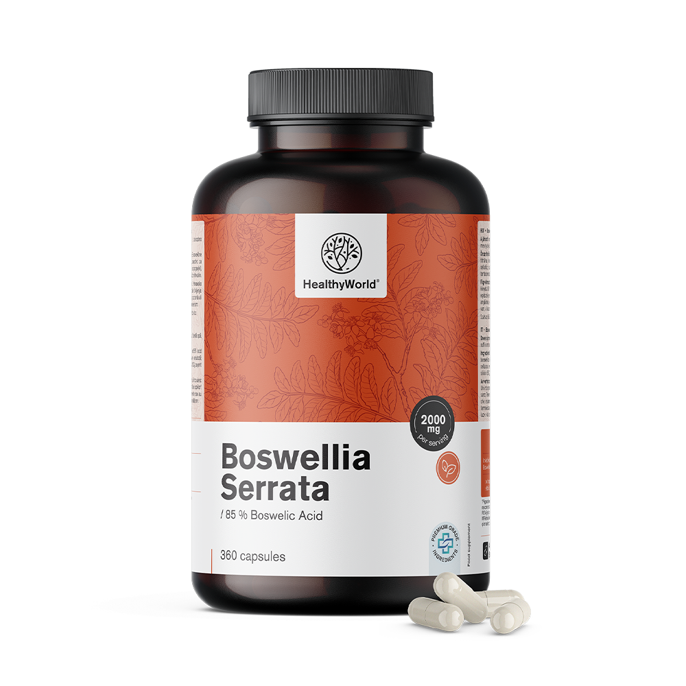 Bosvelija (Boswellia Serrata) – 85 % bosvelične kisline