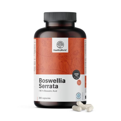 Bosvelija (Boswellia Serrata) – 85 % bosvelične kisline, 360 kapsul