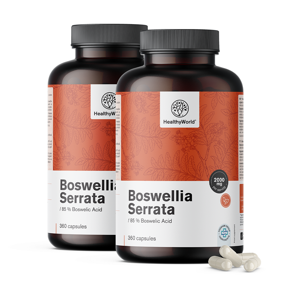 Bosvelija (Boswellia Serrata) – 85 % bosvelične kisline