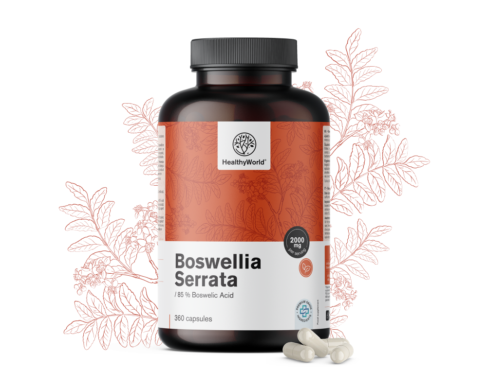 Bosvelija (Boswellia Serrata) – 85 % bosvelične kisline