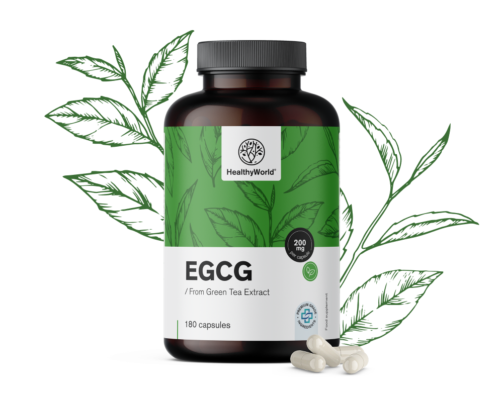 EGCG – iz izvlečka zelenega čaja
