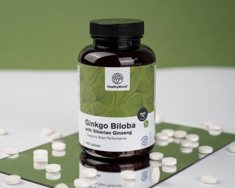 Ginko biloba s sibirskim ginsengom 6600 mg